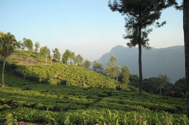 Teanest By Nature Resorts And Stays Coonoor Exterior foto